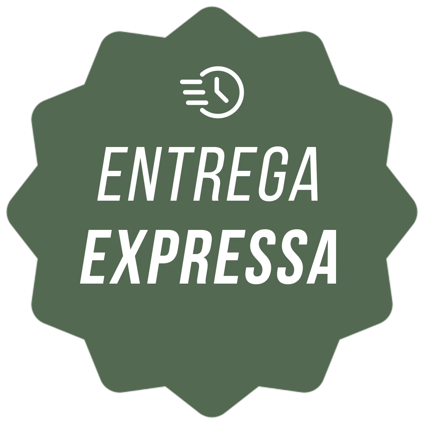 Entrega Expressa